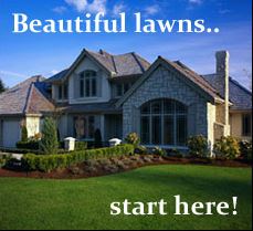 Yard Maintenance Tips